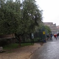 Rome14